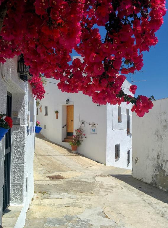 Holiday Home La Atalaya De Vejer Vejer de la Frontera Chambre photo